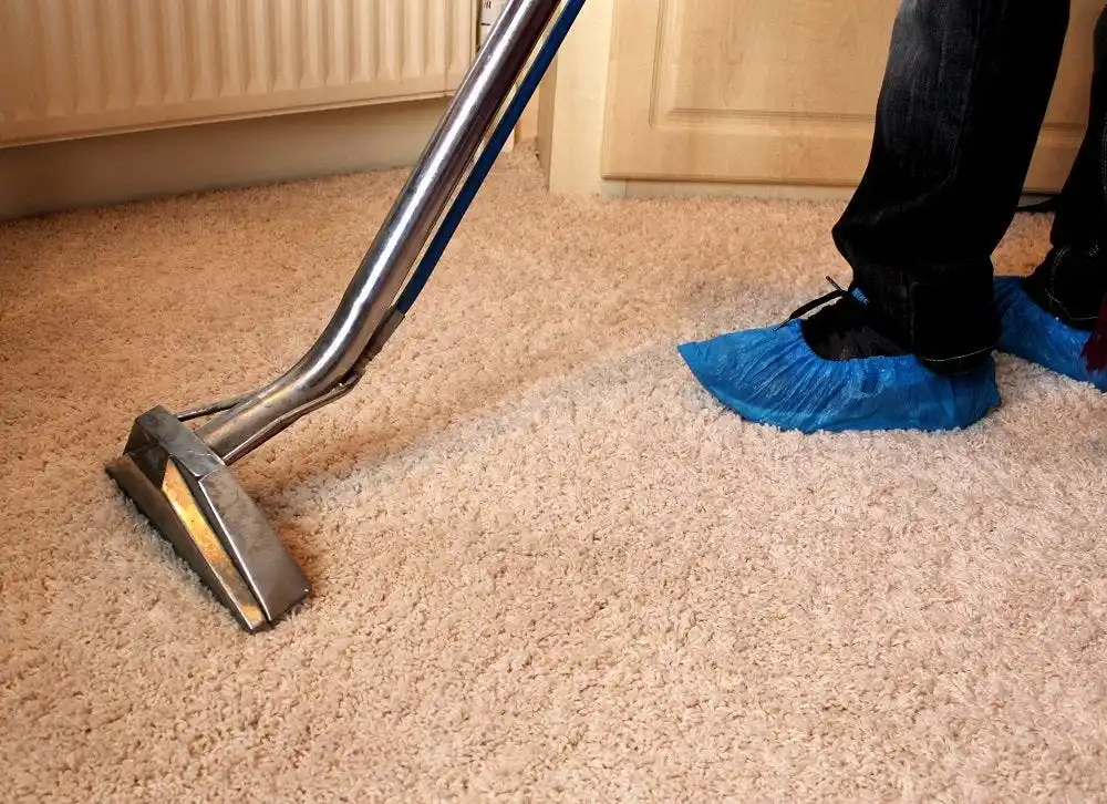 Maintenance & Cleaning Solutions for hotel carpets 