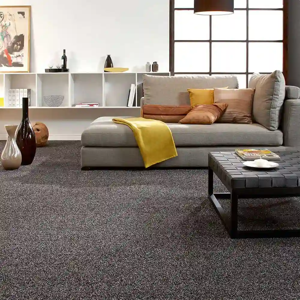 loop wall to wall carpet dubai