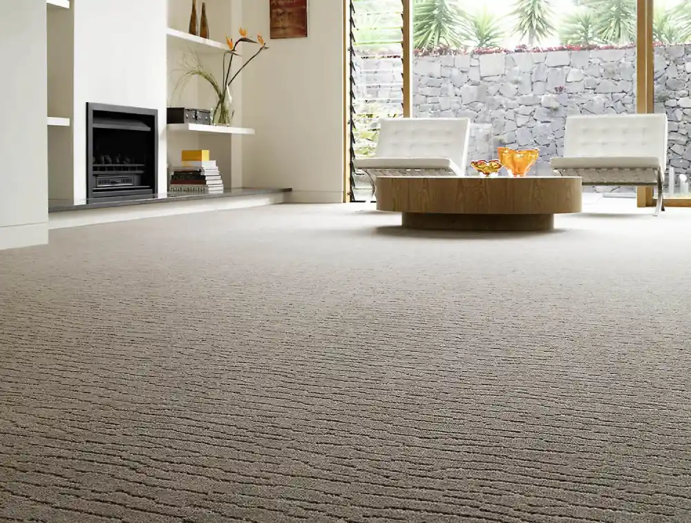 plush wall to wall carpet dubai