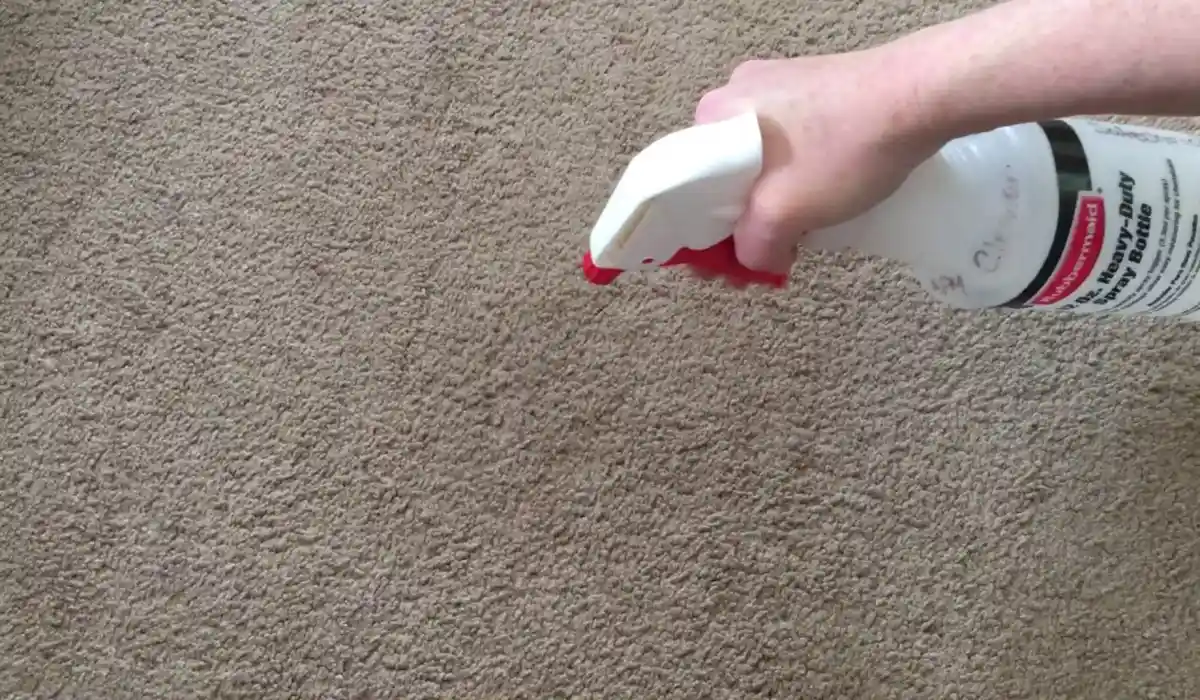 How to Remove Carpet Stains – Complete Cleaning Guide for Every Carpet Type
