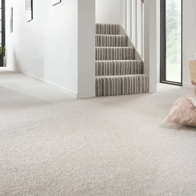 Saxony carpet in dubai