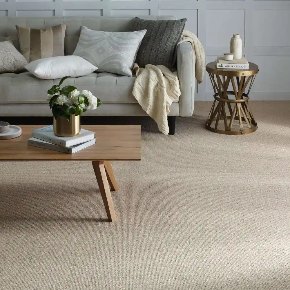 Wall To Wall Carpet JVC Dubai