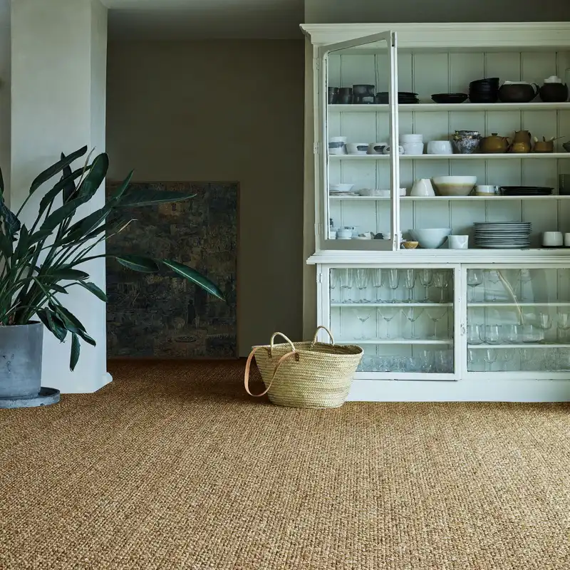 Elegant jute rugs collection for homes and offices