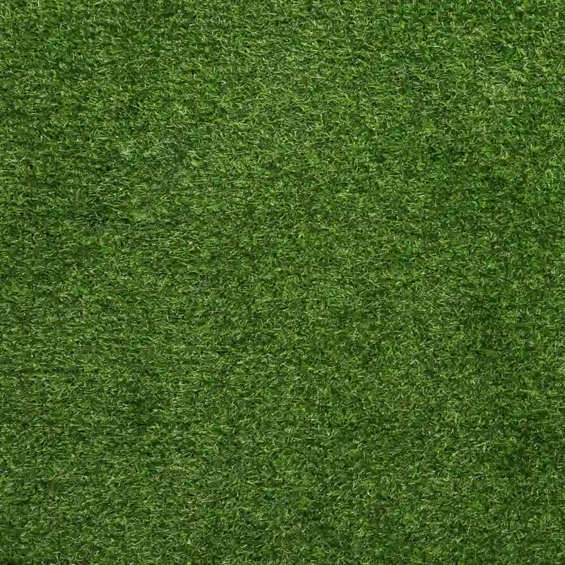 Green Carpet texture in all over dubai