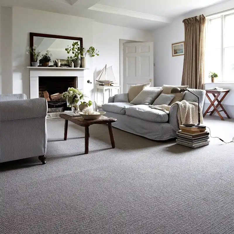 Grey Carpet Collection