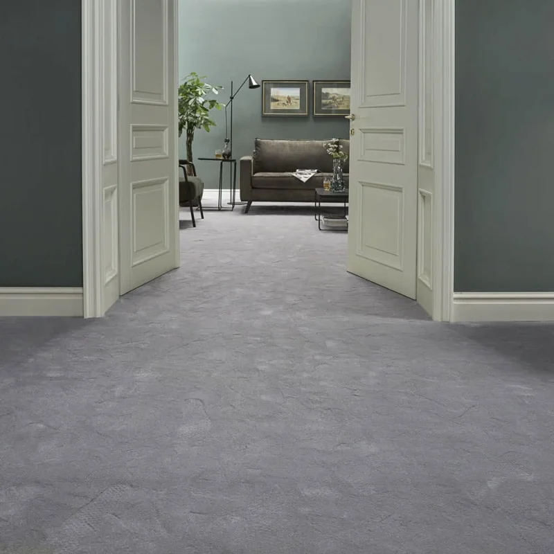 Grey Carpet Interior