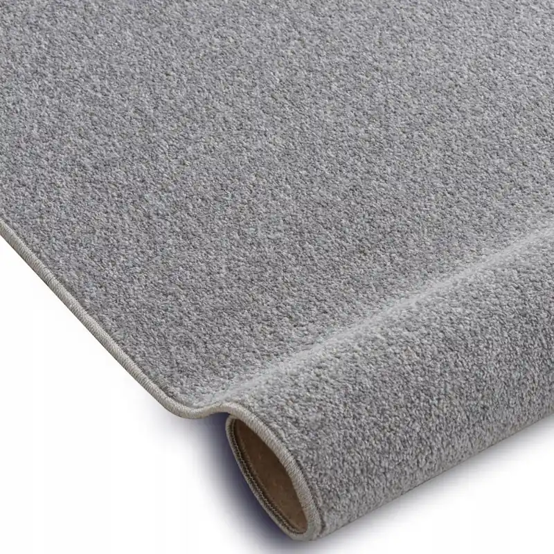 Grey Carpet Neutral Interior