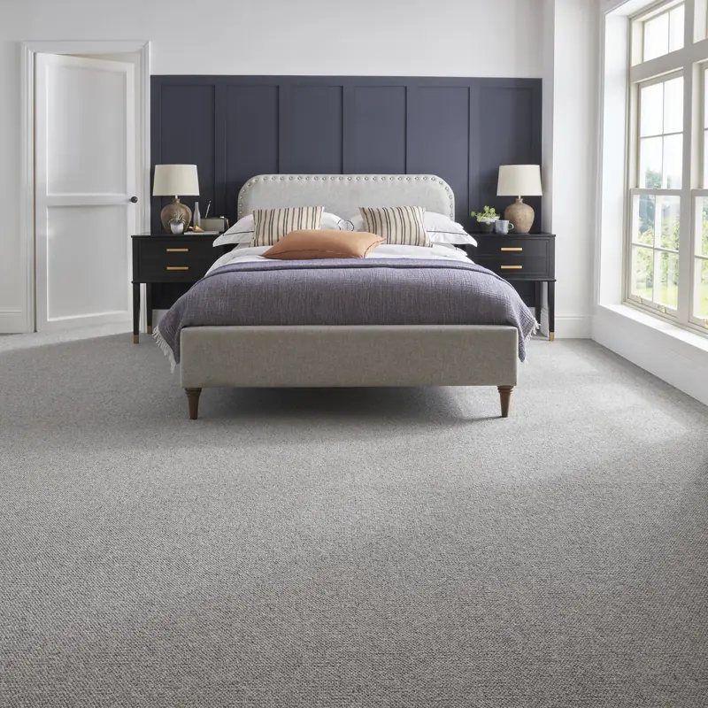 Modern Grey Carpet