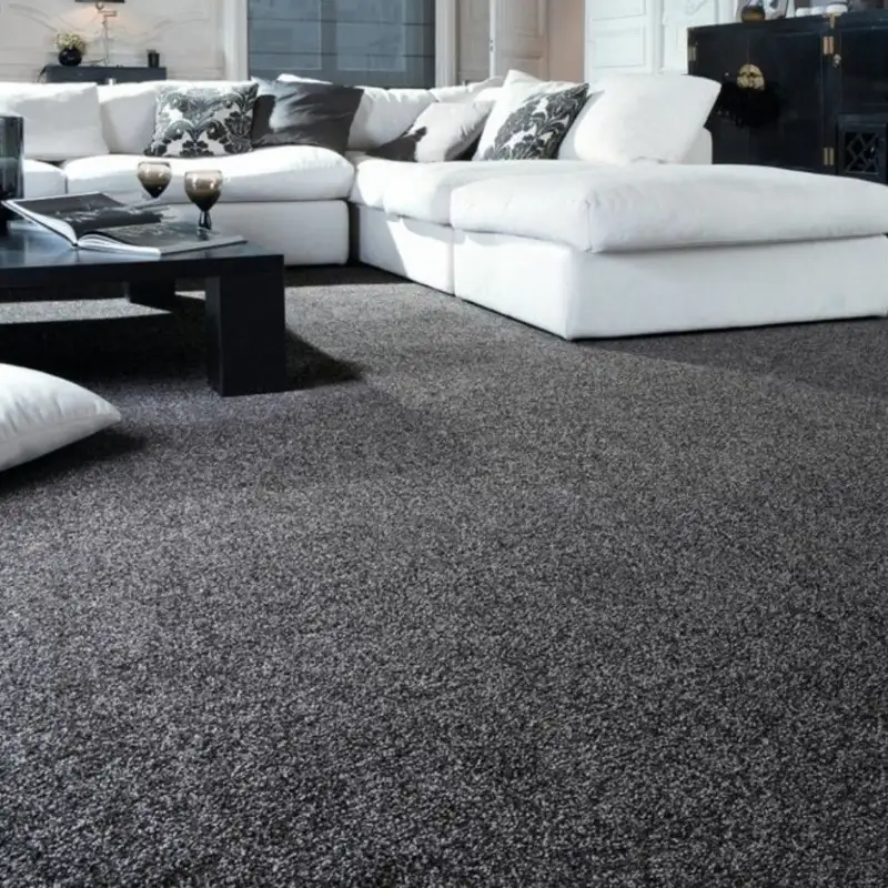 Premium black carpet collection for modern home interiors